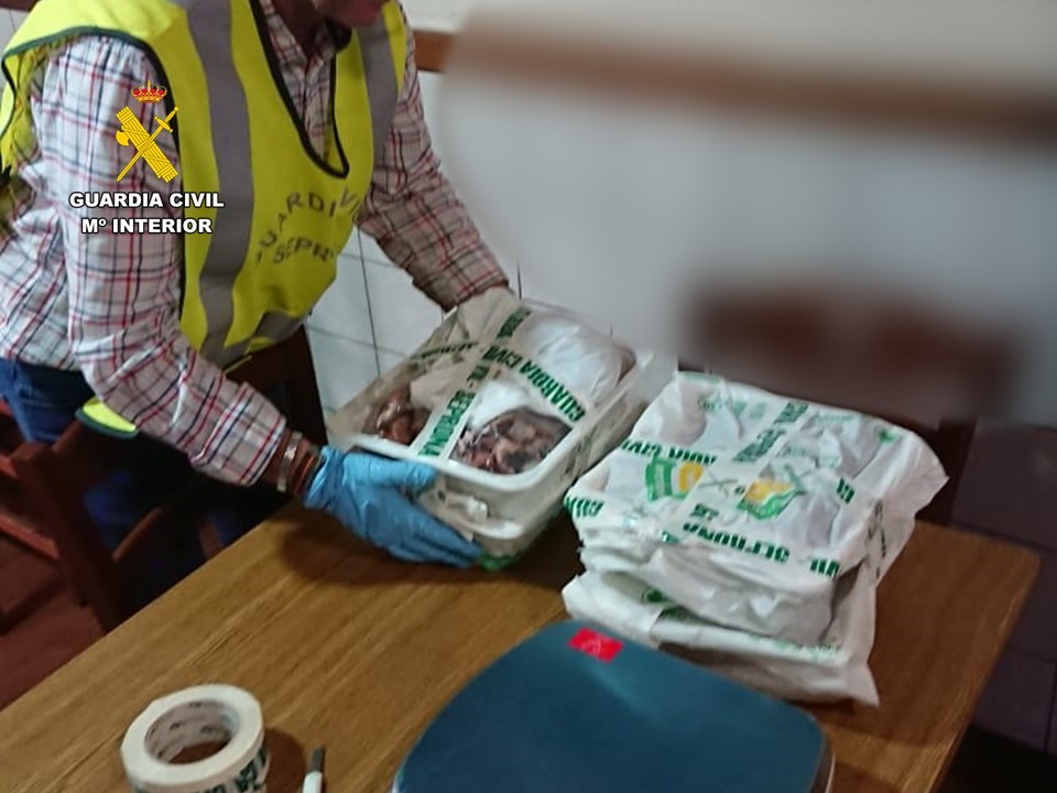 Intervenidos 60 kilos de pescado sin controles sanitarios en un restaurante del Baix Vinalopó