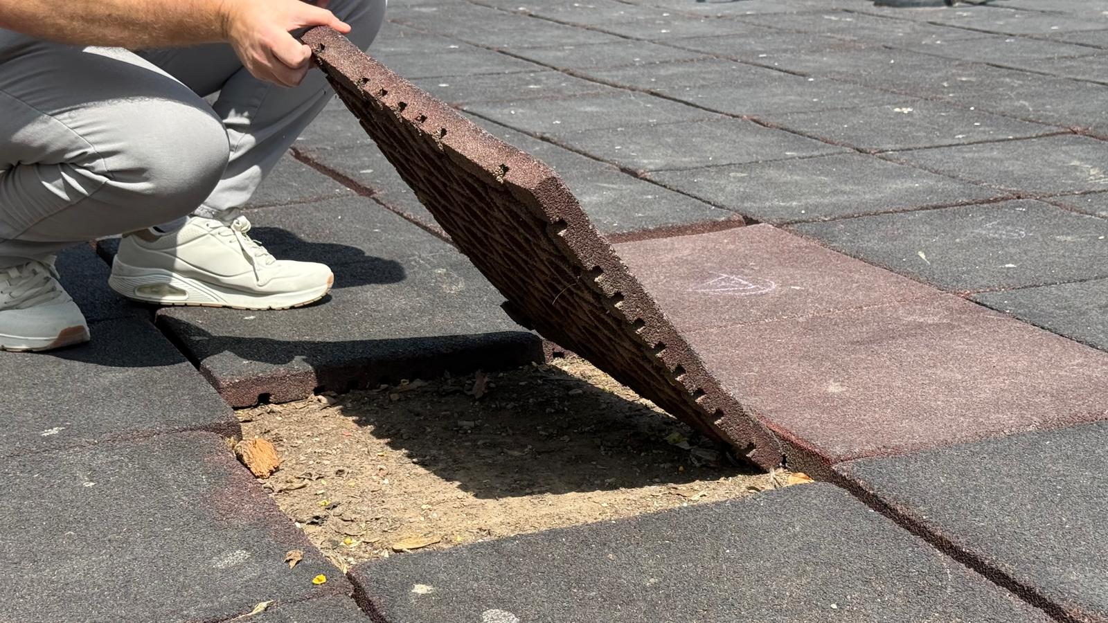 El PSOE Elche denuncia el abandono del Huerto de la Cuerna