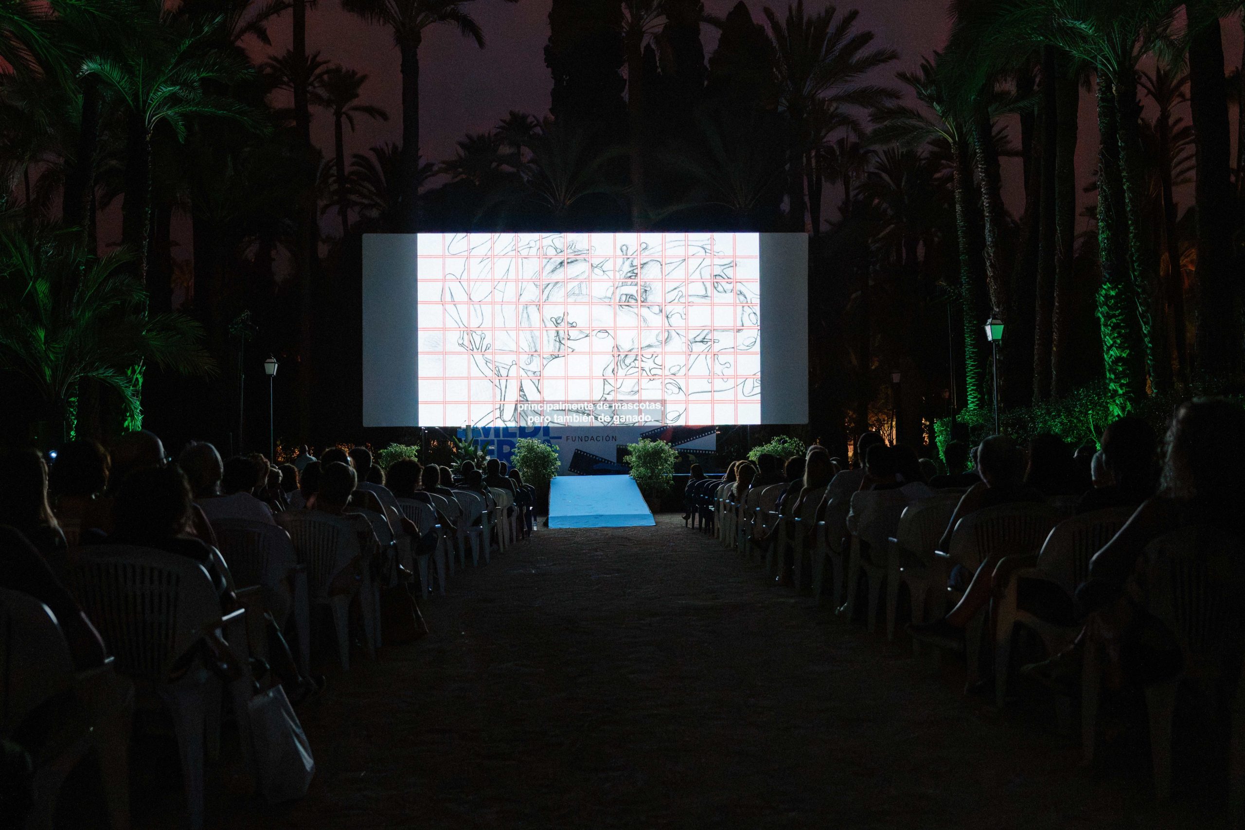 Elche acoge el Festival Internacional de Cine de Elche