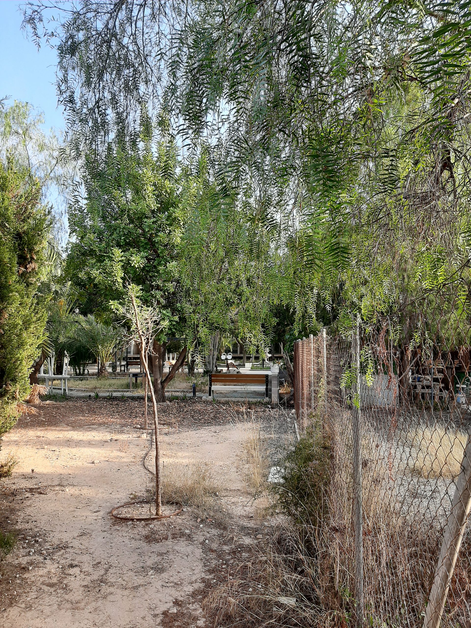 Familiares de personas mayores en reidencias denuncian abandono y dejadez de la Generalitat