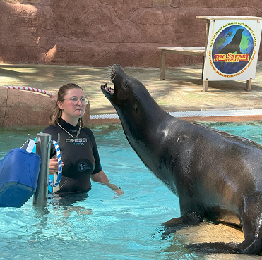 Río Safari Elche refuerza la inclusión con la terapia asistida por leones marinos